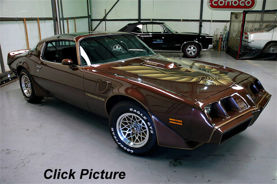 Pontiac firebird T/A 1979 - Page 2 1979transam13Ainv-vi