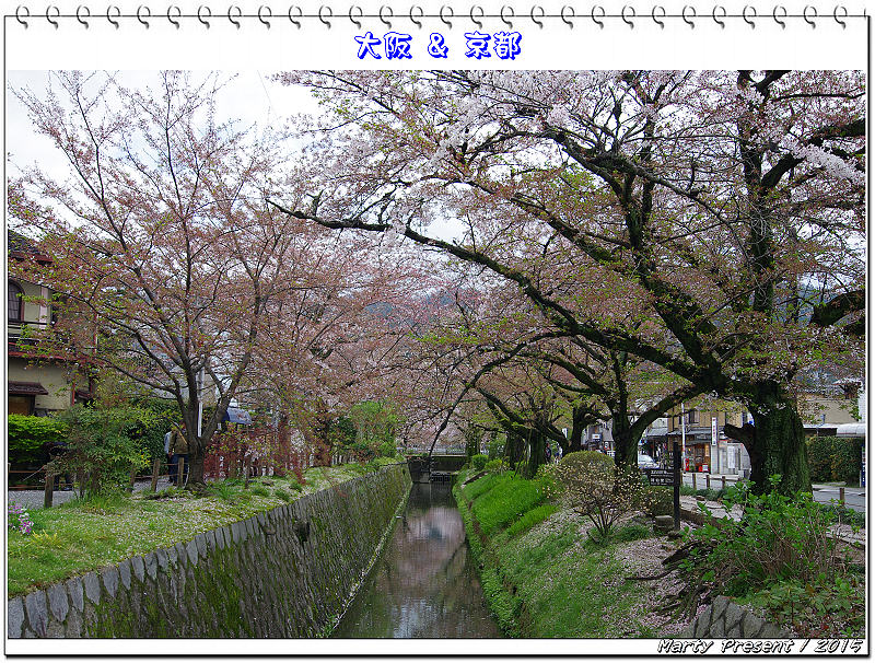 2015大阪&京都賞櫻自由行(3)