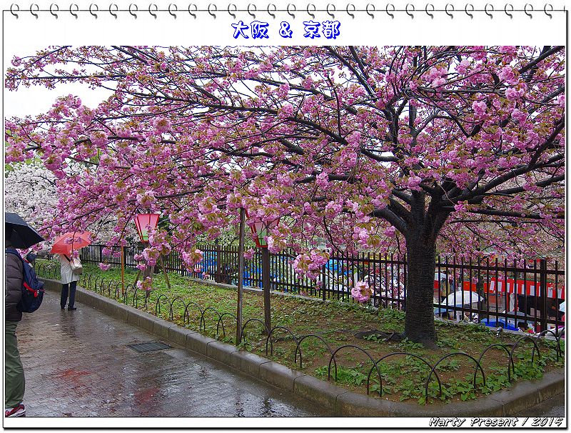 2015大阪&京都賞櫻自由行(2)