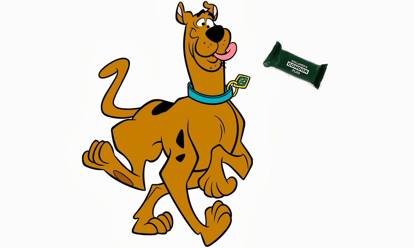 scooby-vi.jpg