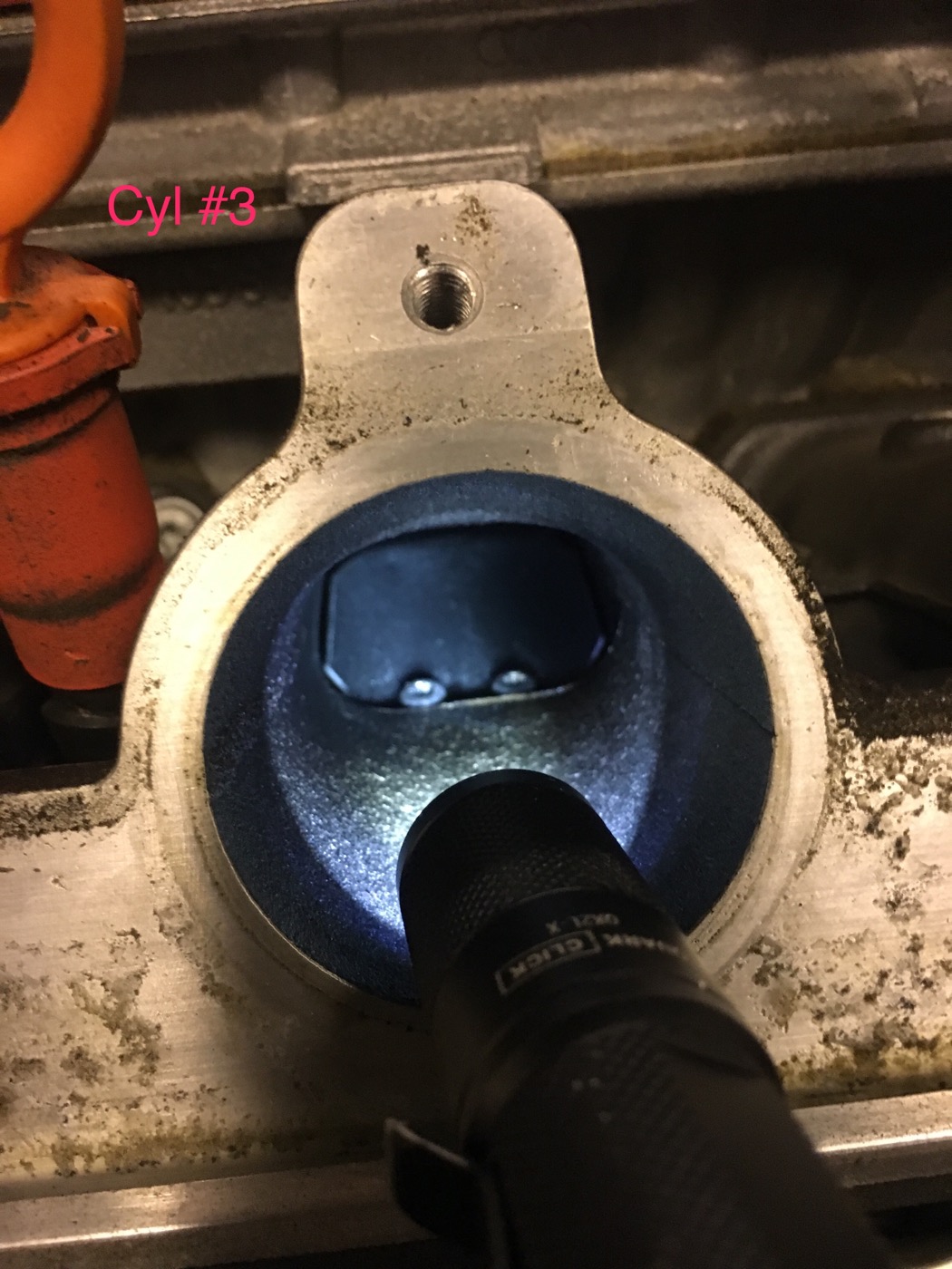 Forums TTRS Intake Manifold Tumble Flaps Deleted