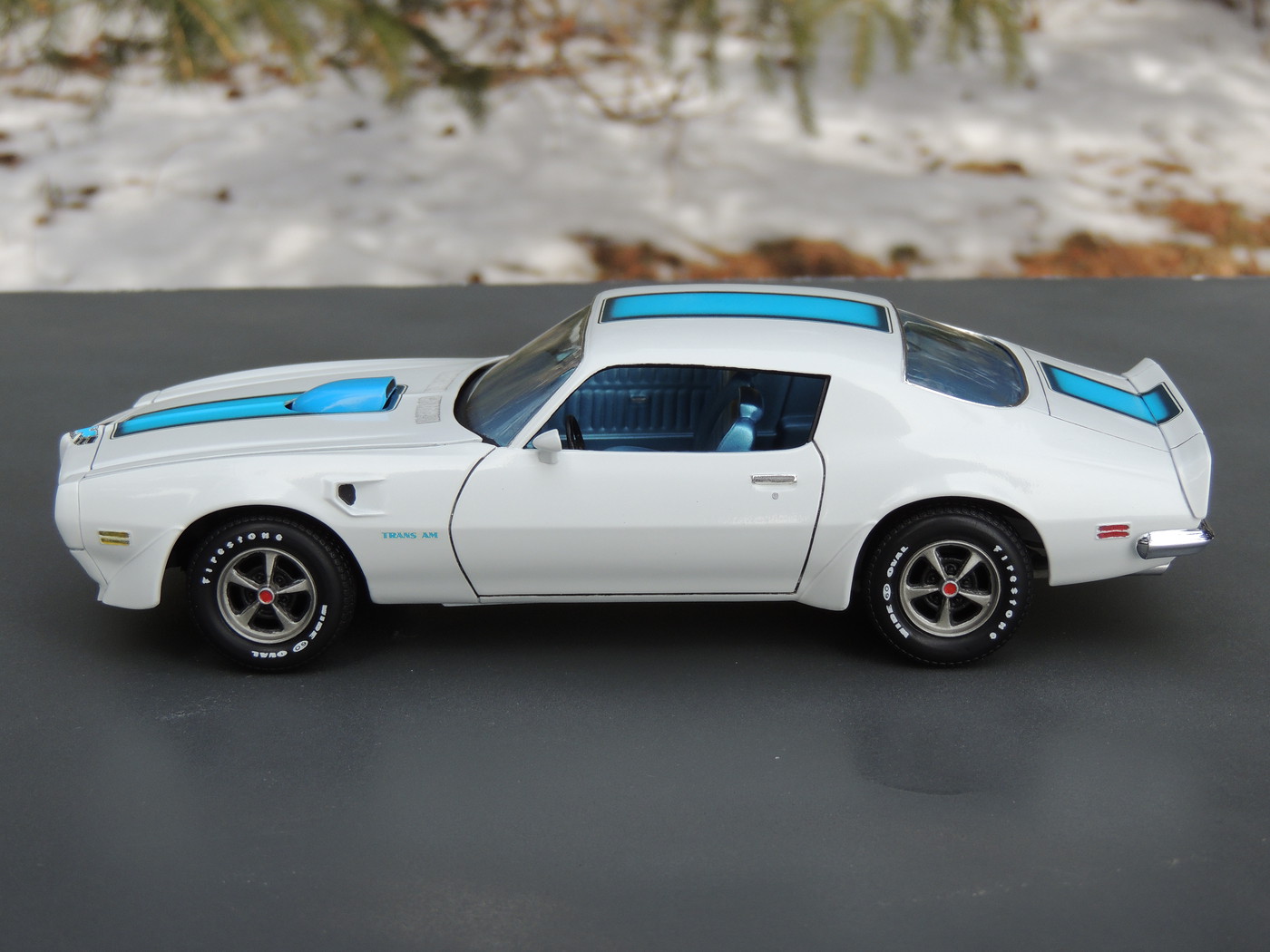 trans am model car