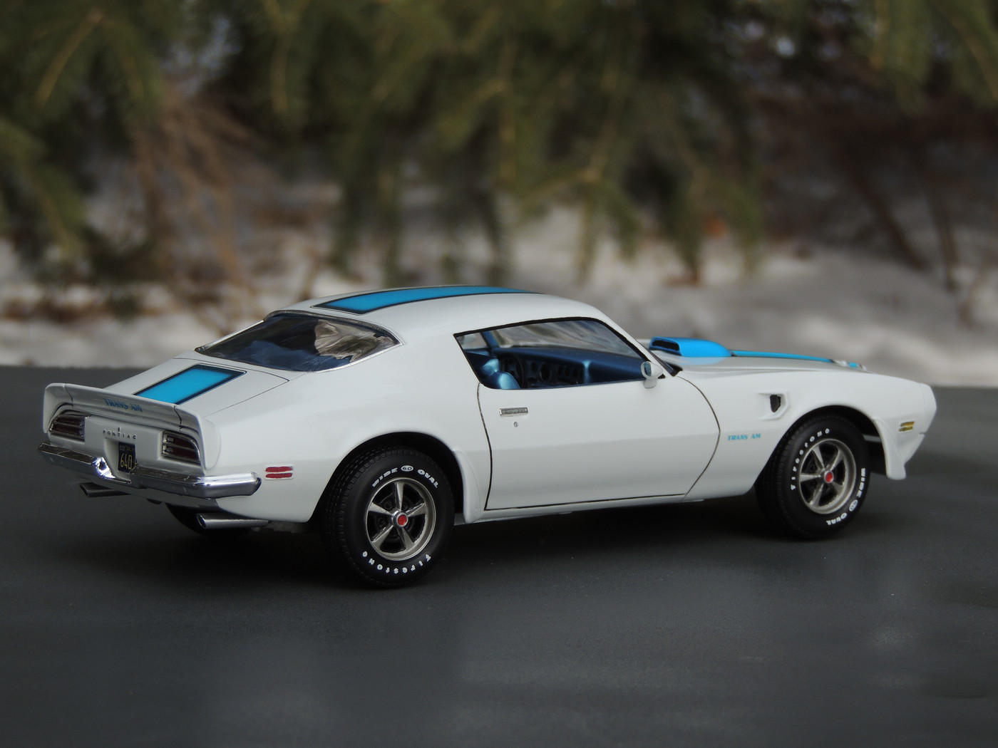 trans am model car