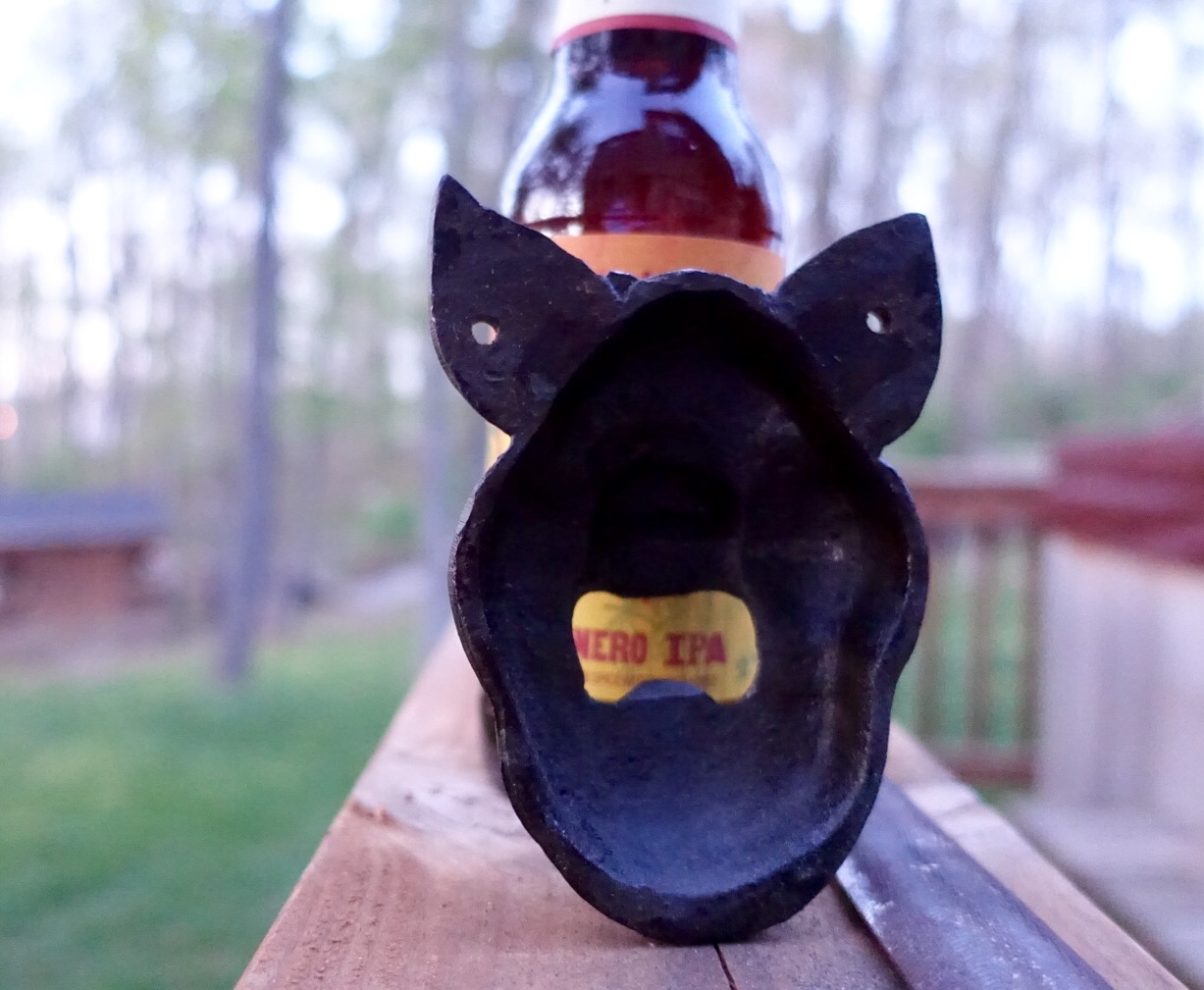 Image: http://media.fotki.com/1_p,rtqdkdbbdbtqrwsxrgkfqwtgrqbd,vi/bsgrftrgkxbsfgbftkkxtdbbbqbs/1/666681/13124706/FullSizeRender17-vi.jpg