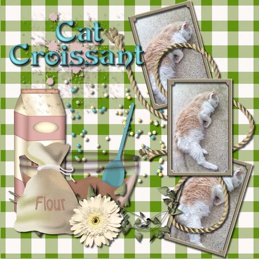 Cat Croissant