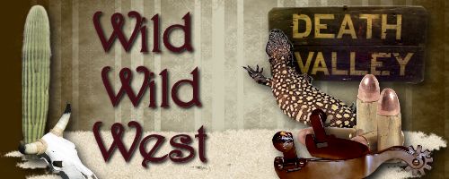 Wild, Wild West Header