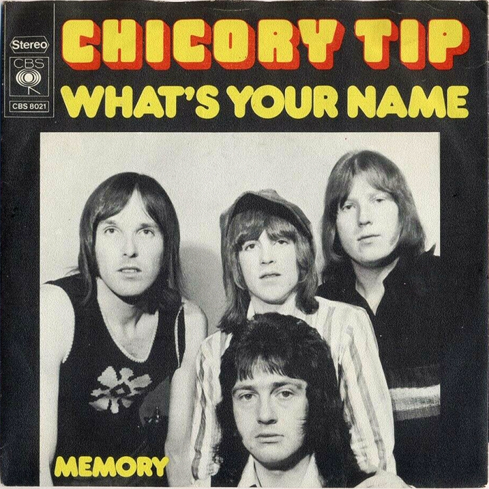 Chicory Tip What's Your Name Holland front