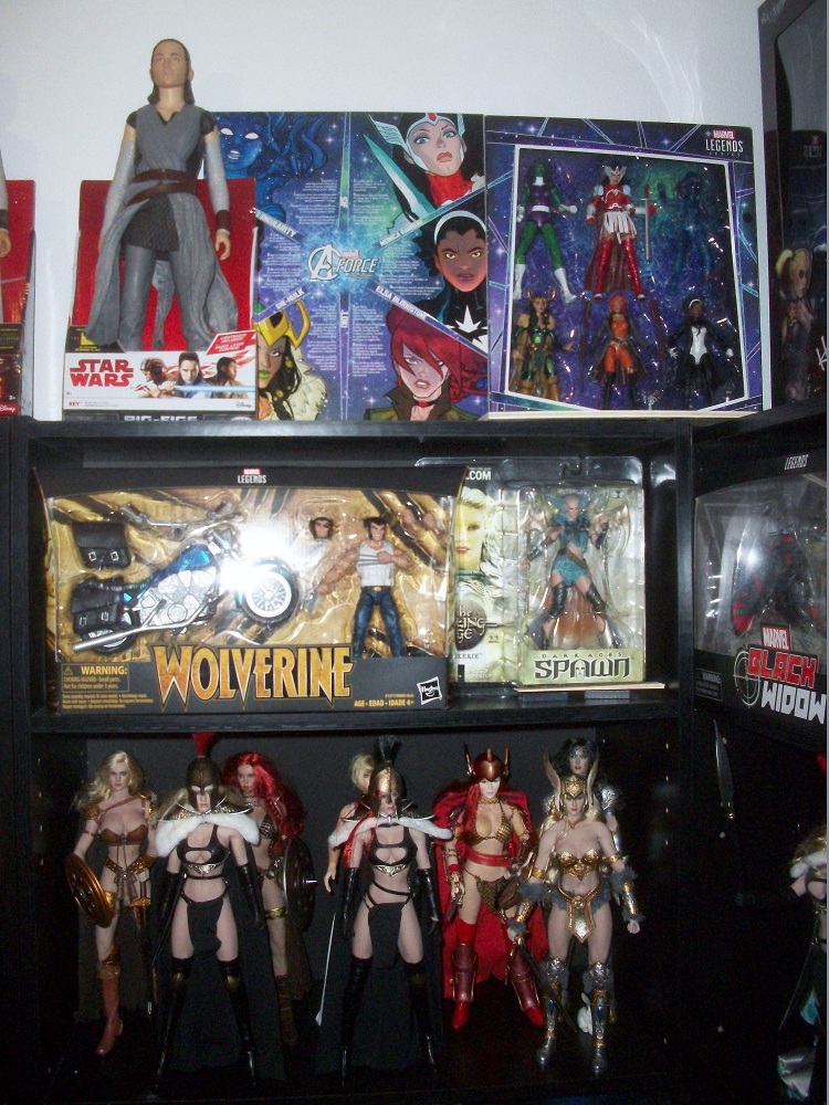 Female - My Display Room and it's newest addition 2v2HErk5dxAChVk