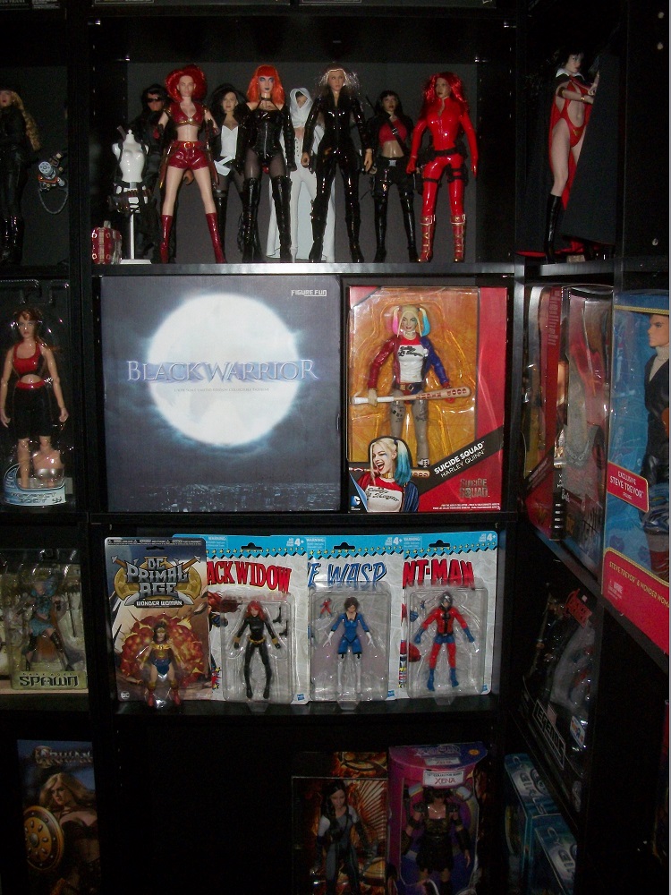 Marvel - My Display Room and it's newest addition 2v2HErkjNxAChVk
