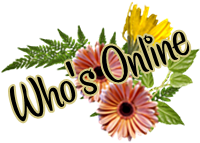 Who is online?