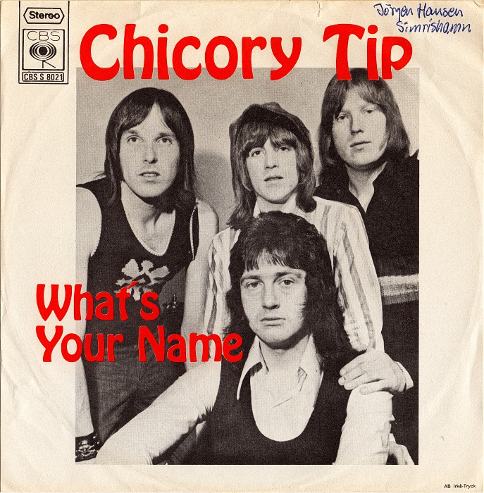 Chicory Tip What's Your Name Sweden back