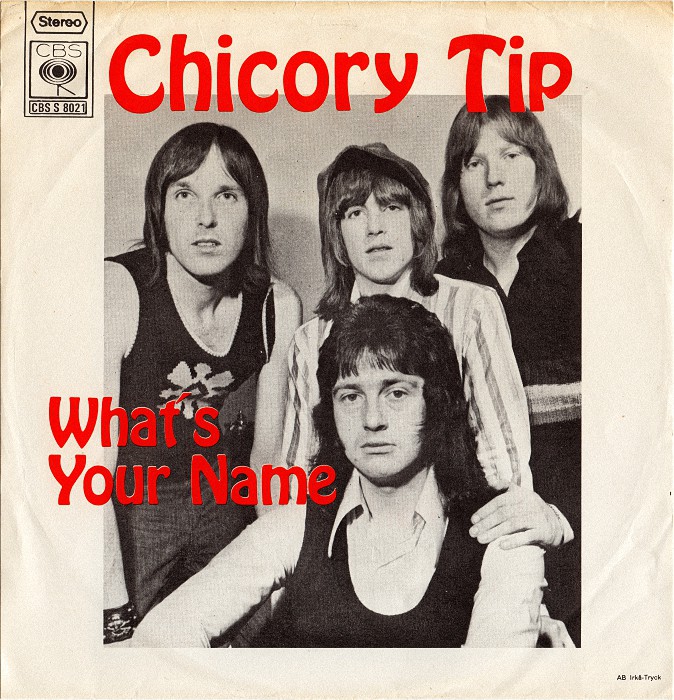 Chicory Tip What's Your Name Sweden front
