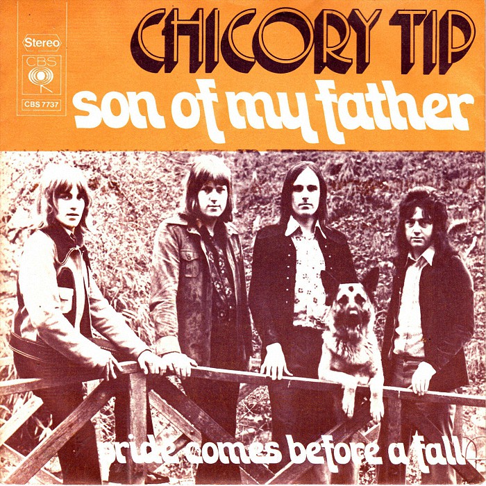 Chicory Tip Son of My Father Holland Front