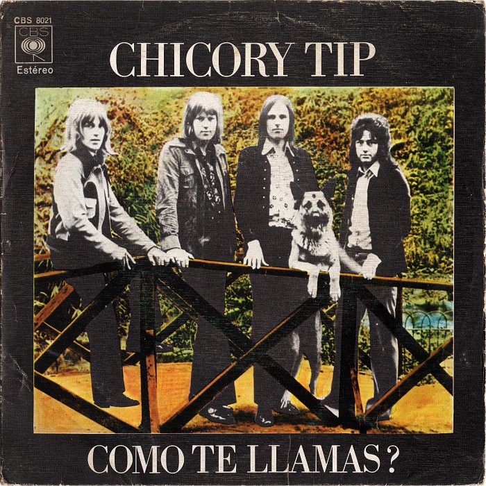 Chicory Tip What's Your Name Spain front