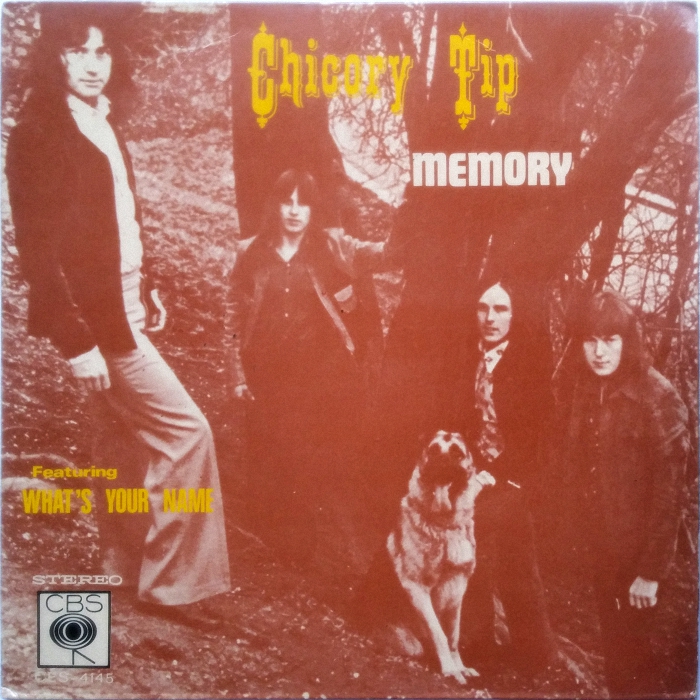 Chicory Tip What's Your Name Singapore EP front