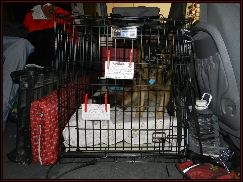 Crate Types German Shepherds Forum